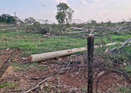 Trabalhador morre ao levar choque em cerca energizada por fio de alta tensão no MS