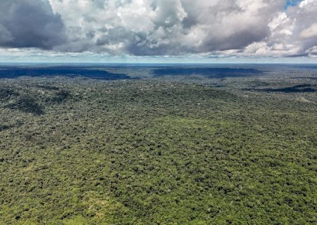 Devastação na Amazônia pode quebrar maior "máquina de chuva" do mundo