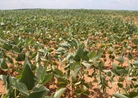 Esperar El Ni&ntilde;o chegar pode ser tarde para evitar perdas, alerta Embrapa
