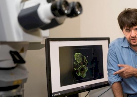 Cientistas alemães e dos Estados Unidos ganham Nobel de Medicina
