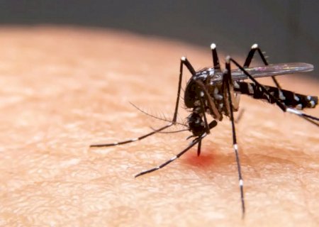 Mudanças climáticas já causam aumento de doenças infecciosas no país