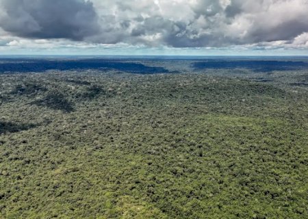 MapBiomas: Amazônia registra menor nível de desmatamento em 41 anos