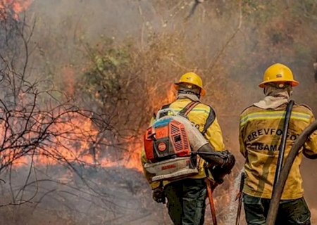Amazonas recebe aeronaves para combater queimadas