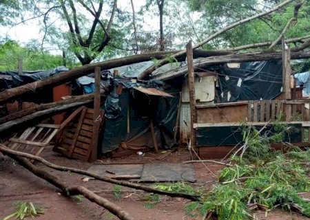 Família escapa antes de árvore destruir barraco e fica sem ter onde morar na Cidade dos Anjos