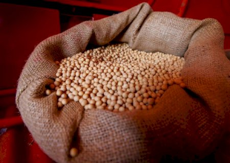 Soja sobe 1,82% na semana e saca chega a R$ 143 em MS