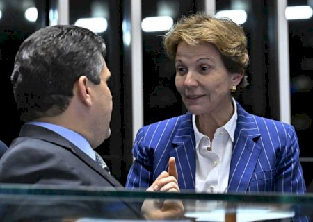 Tereza 'estranha' aliança por Alcolumbre e se põe candidata ao comando do Senado